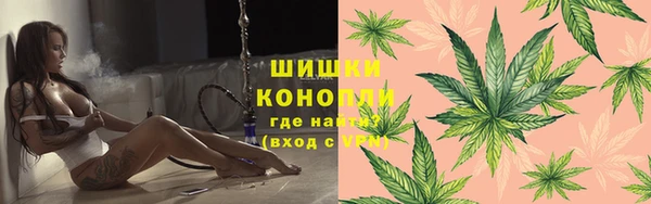 стаф Богородск