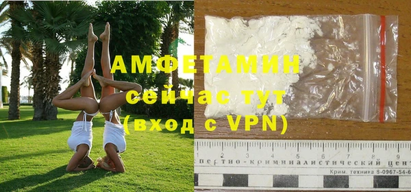 мяу мяу кристалл Богданович