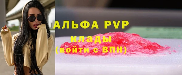 стаф Богородск