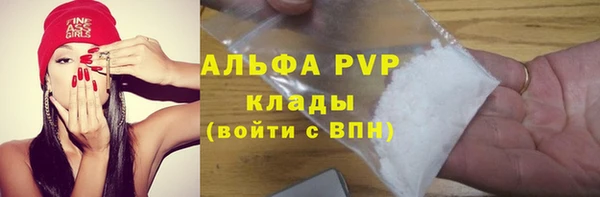 мяу мяу кристалл Богданович