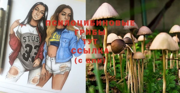 мяу мяу кристалл Богданович