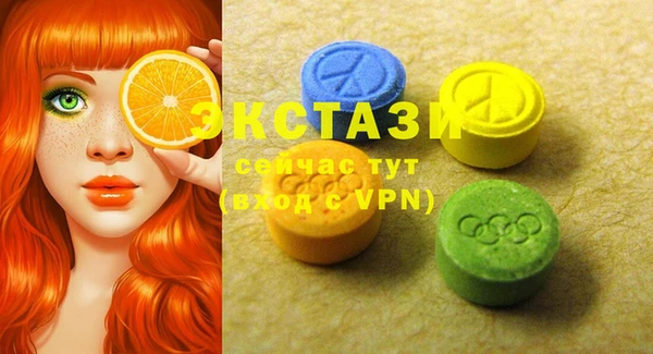 стаф Богородск