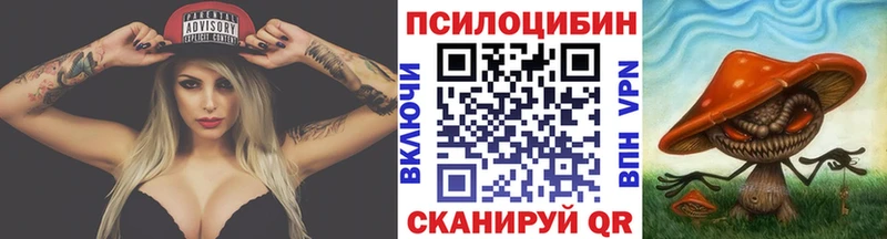 Псилоцибиновые грибы Psilocybine cubensis  площадка Telegram  Эртиль 